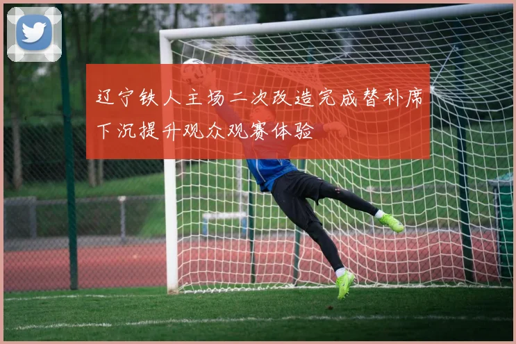 辽宁铁人主场二次改造完成替补席下沉提升观众观赛体验